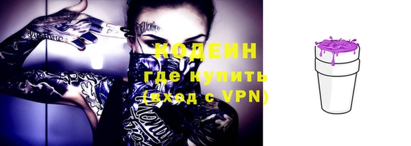 ГАЛЛЮЦИНОГЕННЫЕ ГРИБЫ Костерёво