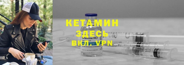 сатива Кукмор