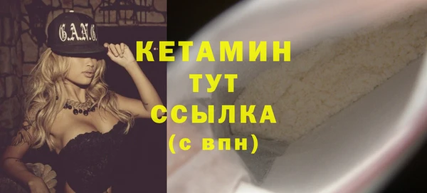 индика Лабытнанги