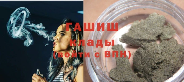 индика Лабытнанги