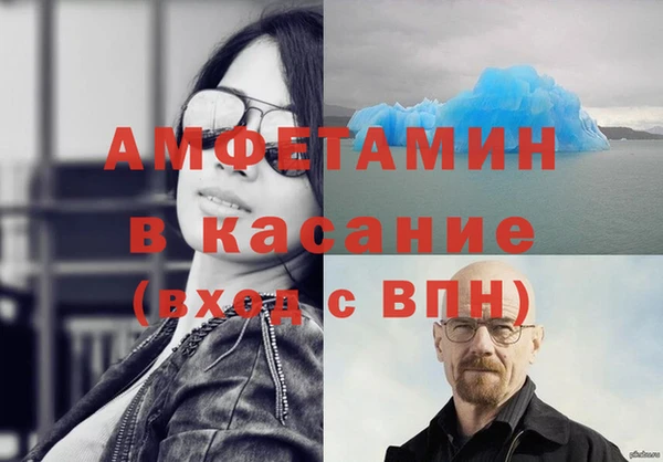 сатива Кукмор