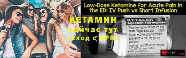 индика Лабытнанги