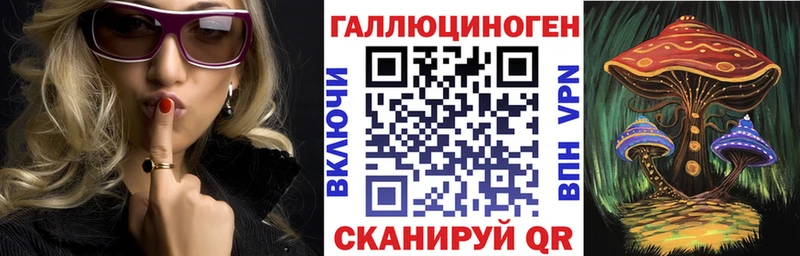где продают наркотики  Сураж  нарко площадка наркотические препараты  Галлюциногенные грибы прущие грибы 